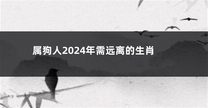 属狗人2024年需远离的生肖