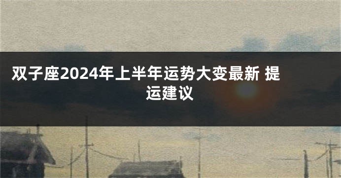 双子座2024年上半年运势大变最新 提运建议