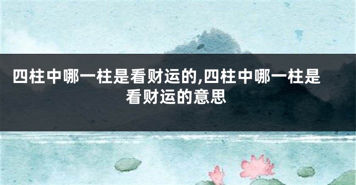 四柱中哪一柱是看财运的,四柱中哪一柱是看财运的意思