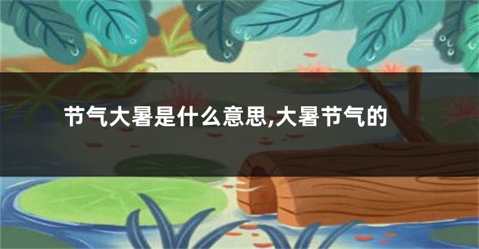 节气大暑是什么意思,大暑节气的
