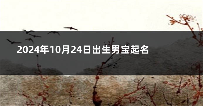 2024年10月24日出生男宝起名