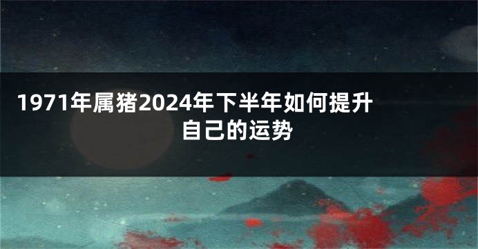 1971年属猪2024年下半年如何提升自己的运势
