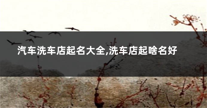 汽车洗车店起名大全,洗车店起啥名好