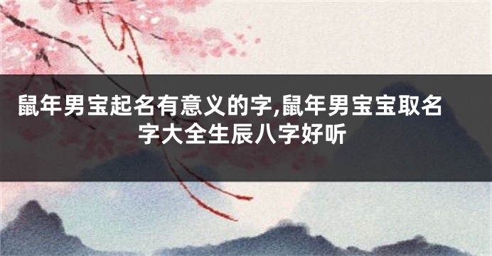 鼠年男宝起名有意义的字,鼠年男宝宝取名字大全生辰八字好听
