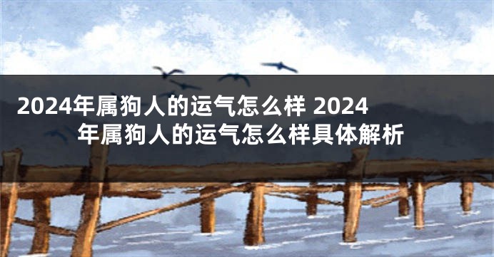 2024年属狗人的运气怎么样 2024年属狗人的运气怎么样具体解析