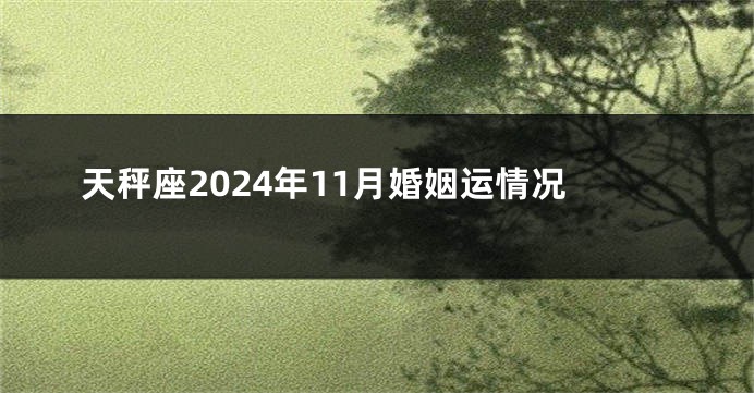天秤座2024年11月婚姻运情况