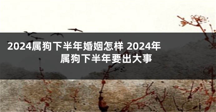 2024属狗下半年婚姻怎样 2024年属狗下半年要出大事