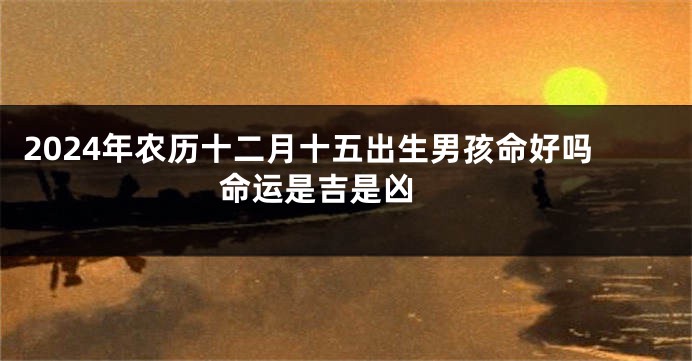 2024年农历十二月十五出生男孩命好吗 命运是吉是凶 