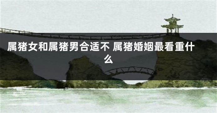 属猪女和属猪男合适不 属猪婚姻最看重什么