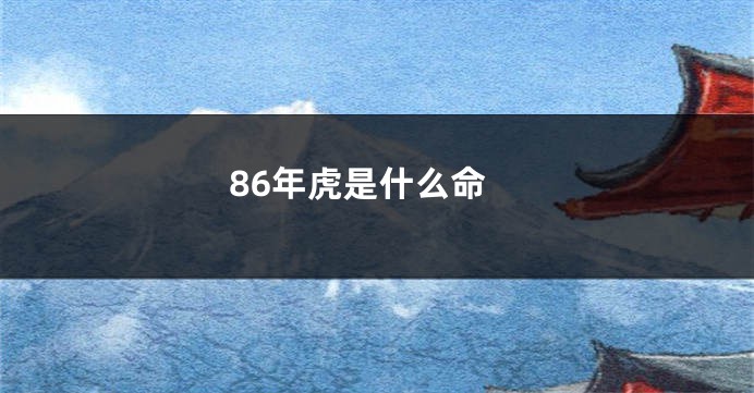 86年虎是什么命