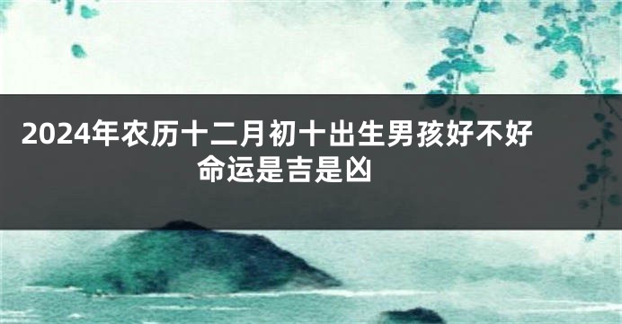 2024年农历十二月初十出生男孩好不好 命运是吉是凶 