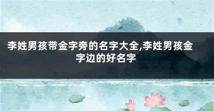 李姓男孩带金字旁的名字大全,李姓男孩金字边的好名字