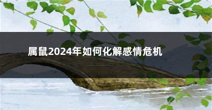 属鼠2024年如何化解感情危机