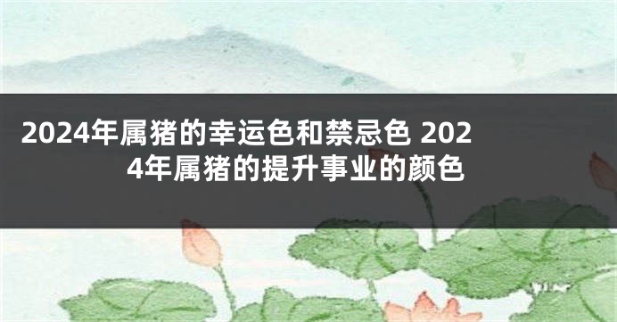 2024年属猪的幸运色和禁忌色 2024年属猪的提升事业的颜色