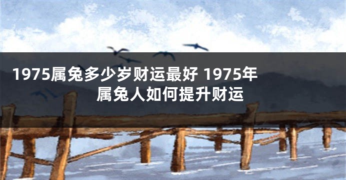 1975属兔多少岁财运最好 1975年属兔人如何提升财运