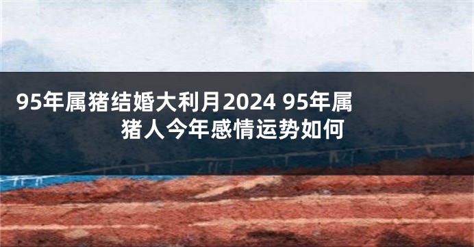 95年属猪结婚大利月2024 95年属猪人今年感情运势如何
