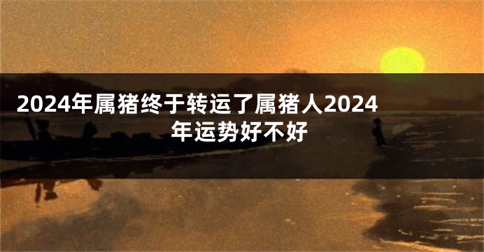 2024年属猪终于转运了属猪人2024年运势好不好