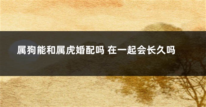 属狗能和属虎婚配吗 在一起会长久吗