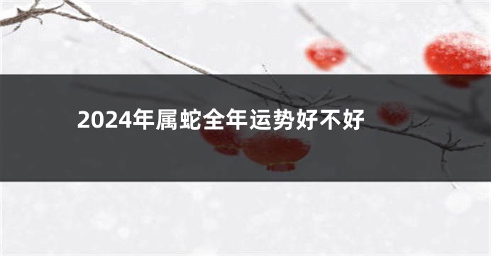 2024年属蛇全年运势好不好