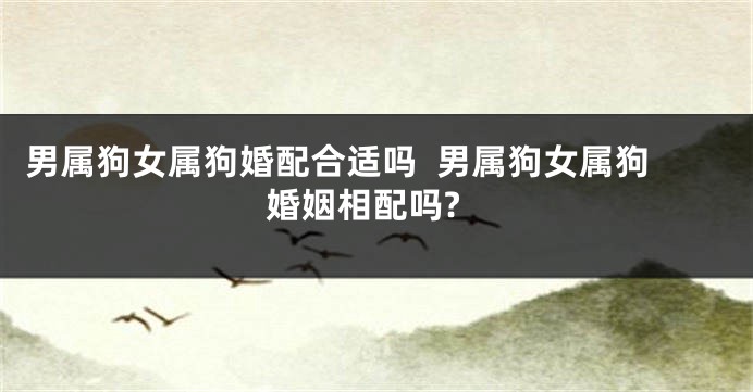 男属狗女属狗婚配合适吗  男属狗女属狗婚姻相配吗?