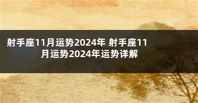 射手座11月运势2024年 射手座11月运势2024年运势详解