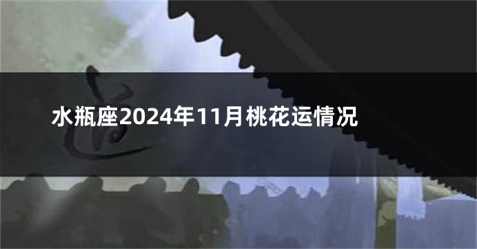 水瓶座2024年11月桃花运情况