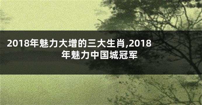 2018年魅力大增的三大生肖,2018年魅力中国城冠军
