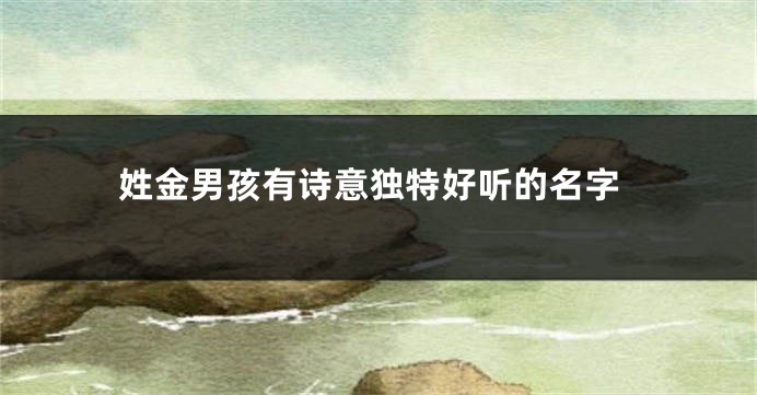 姓金男孩有诗意独特好听的名字