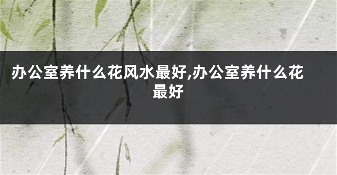 办公室养什么花风水最好,办公室养什么花最好