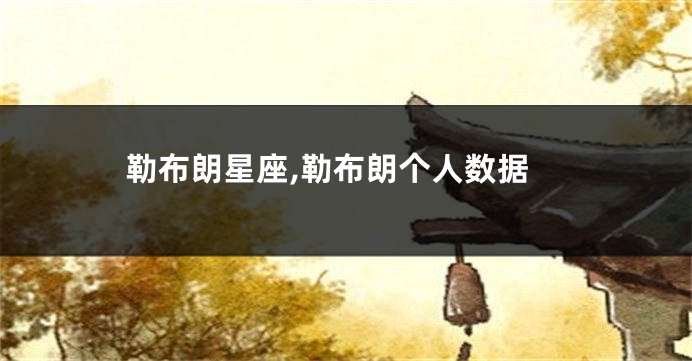 勒布朗星座,勒布朗个人数据