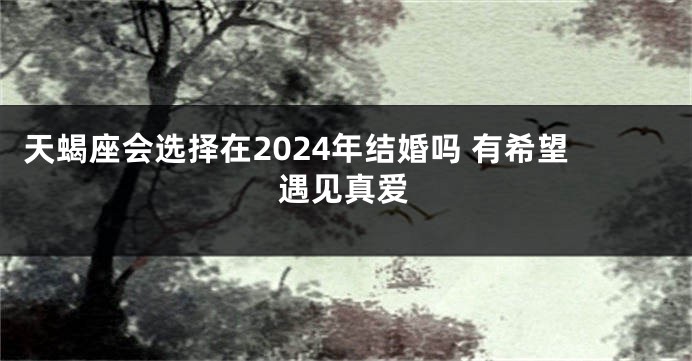天蝎座会选择在2024年结婚吗 有希望遇见真爱
