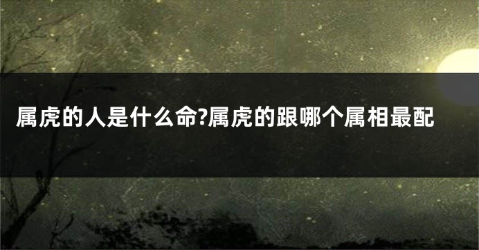 属虎的人是什么命?属虎的跟哪个属相最配