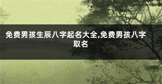 免费男孩生辰八字起名大全,免费男孩八字取名