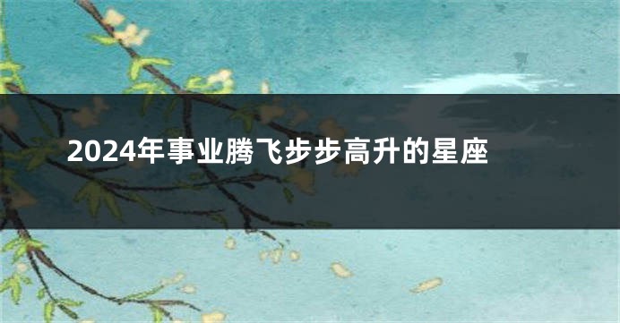 2024年事业腾飞步步高升的星座