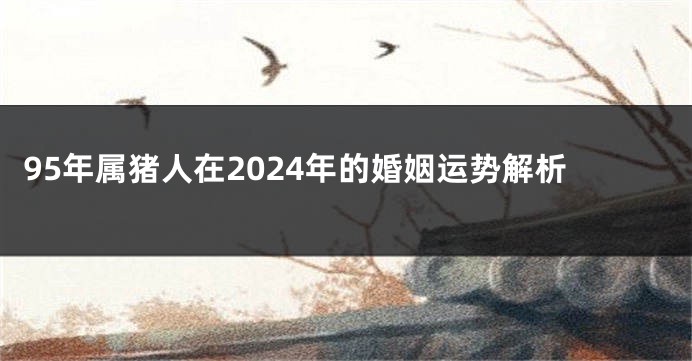 95年属猪人在2024年的婚姻运势解析