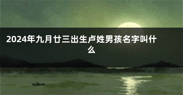 2024年九月廿三出生卢姓男孩名字叫什么
