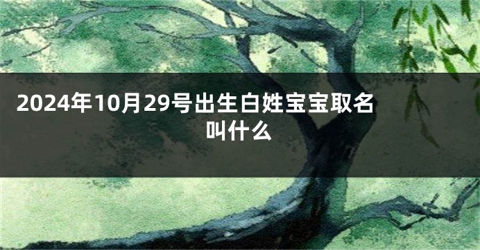 2024年10月29号出生白姓宝宝取名叫什么