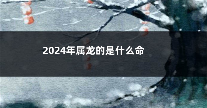2024年属龙的是什么命