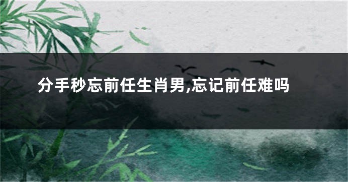 分手秒忘前任生肖男,忘记前任难吗