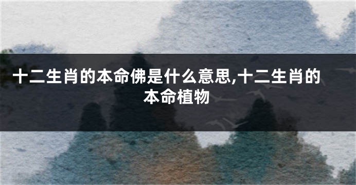 十二生肖的本命佛是什么意思,十二生肖的本命植物