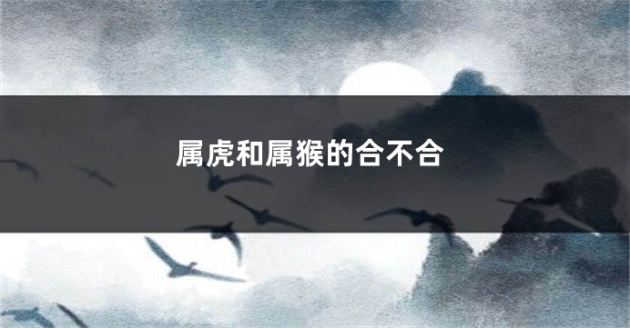 属虎和属猴的合不合