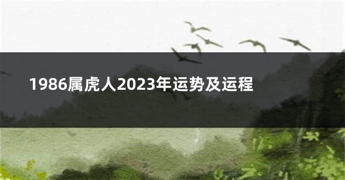 1986属虎人2023年运势及运程