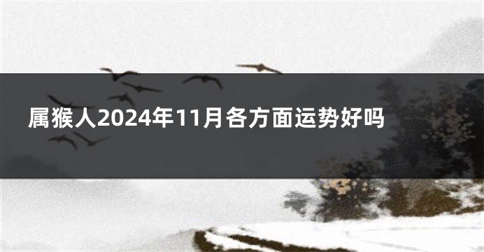 属猴人2024年11月各方面运势好吗