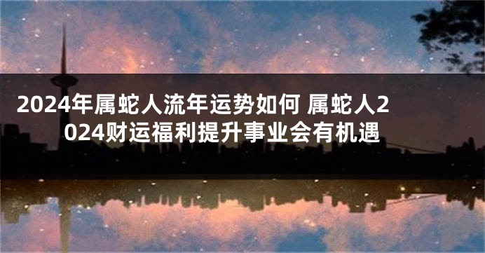 2024年属蛇人流年运势如何 属蛇人2024财运福利提升事业会有机遇