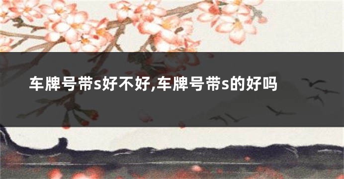 车牌号带s好不好,车牌号带s的好吗