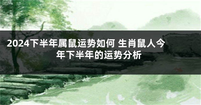 2024下半年属鼠运势如何 生肖鼠人今年下半年的运势分析
