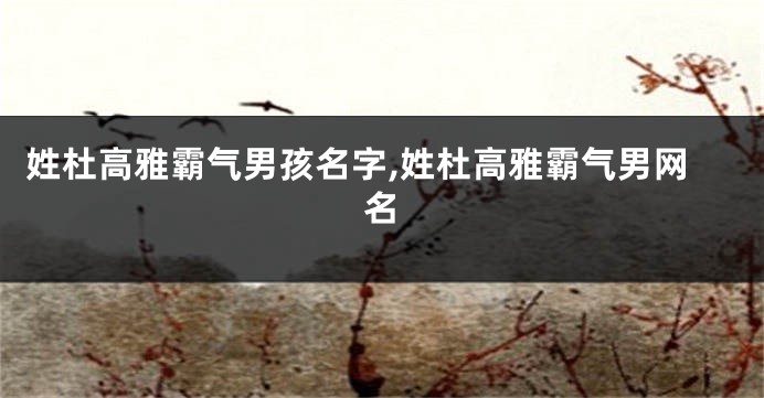 姓杜高雅霸气男孩名字,姓杜高雅霸气男网名