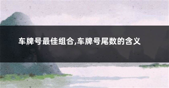 车牌号最佳组合,车牌号尾数的含义