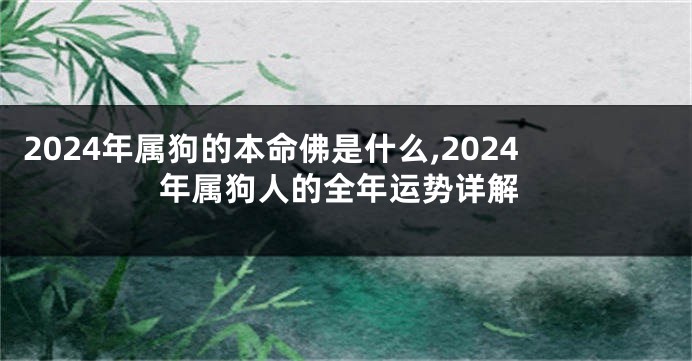 2024年属狗的本命佛是什么,2024年属狗人的全年运势详解