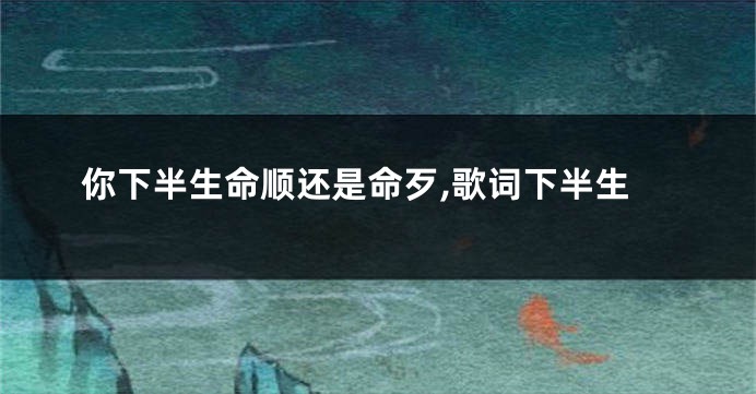 你下半生命顺还是命歹,歌词下半生